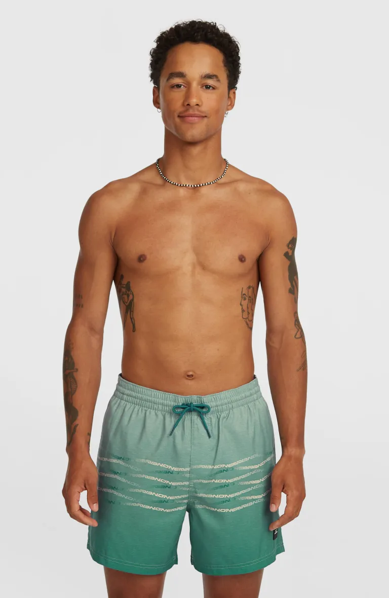 Pánske plavky First 15