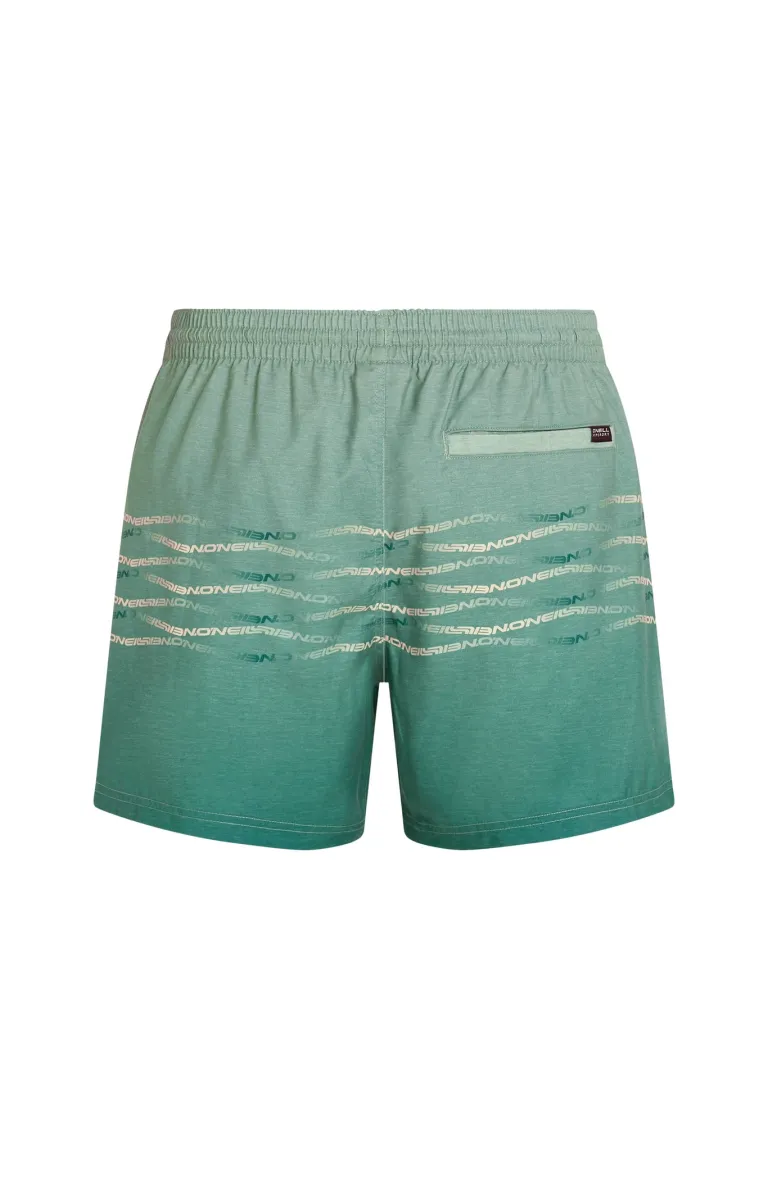 Pánske plavky First 15