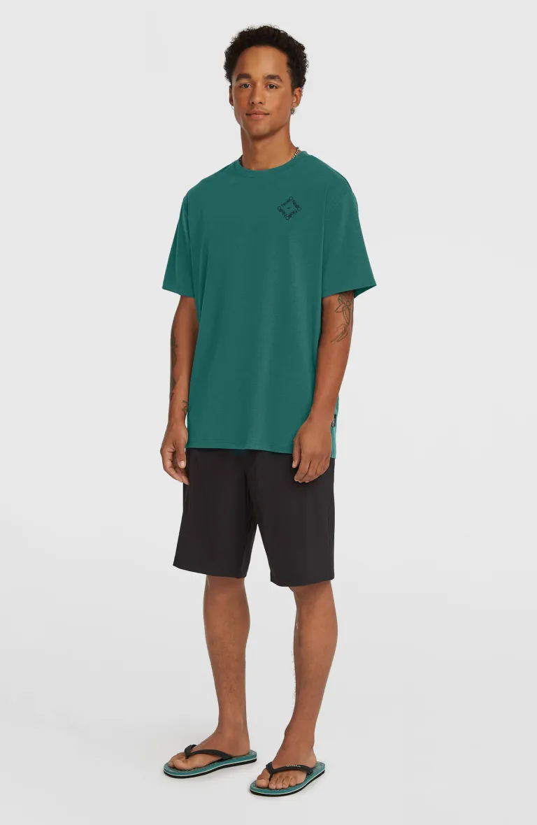 ONEILL HYBRID 19 SHORTS