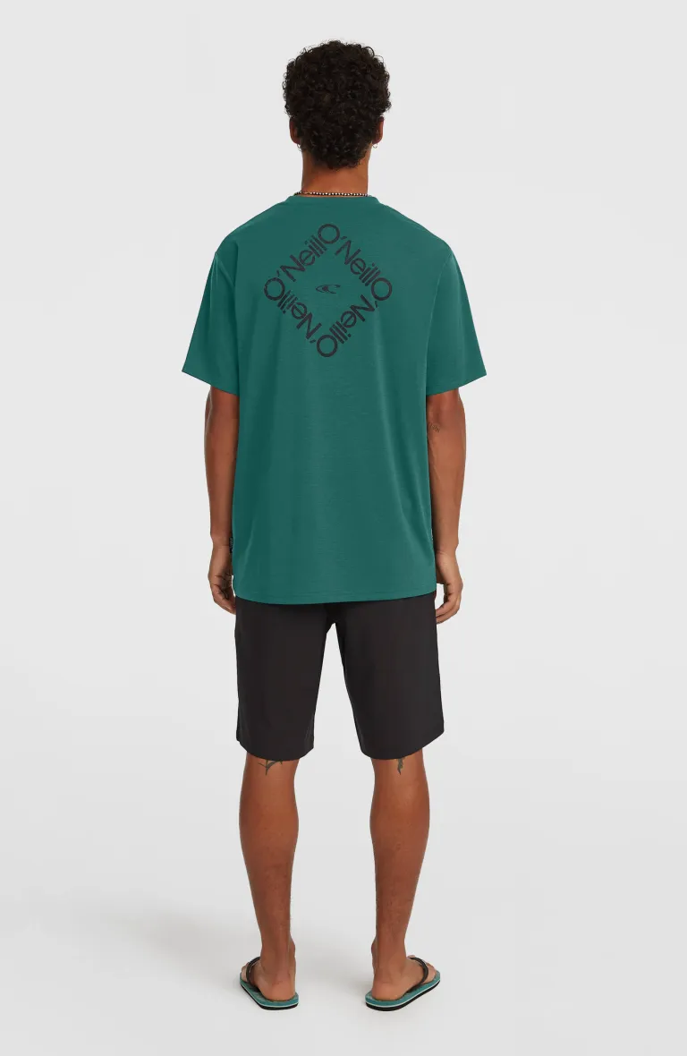 ONEILL HYBRID 19 SHORTS