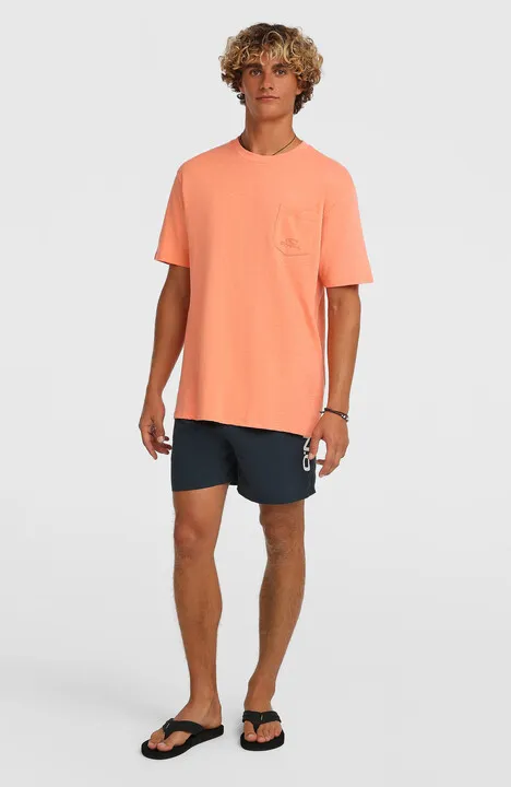 Pánske plavky LOGO 16