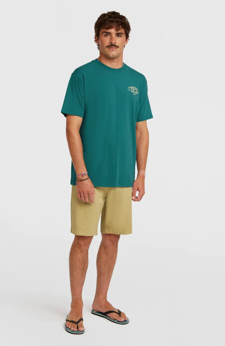 Pánske krátke nohavice Chino