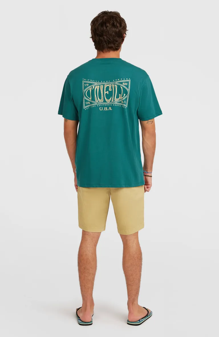 Pánske krátke nohavice Chino