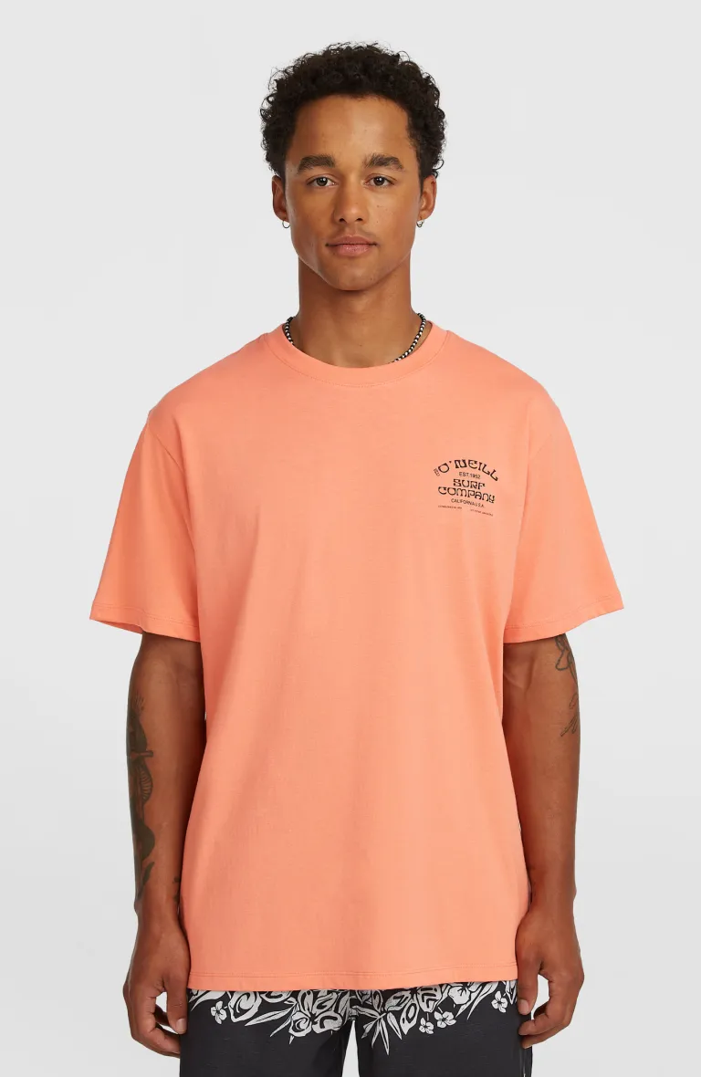 Pánske tričko Melange Print