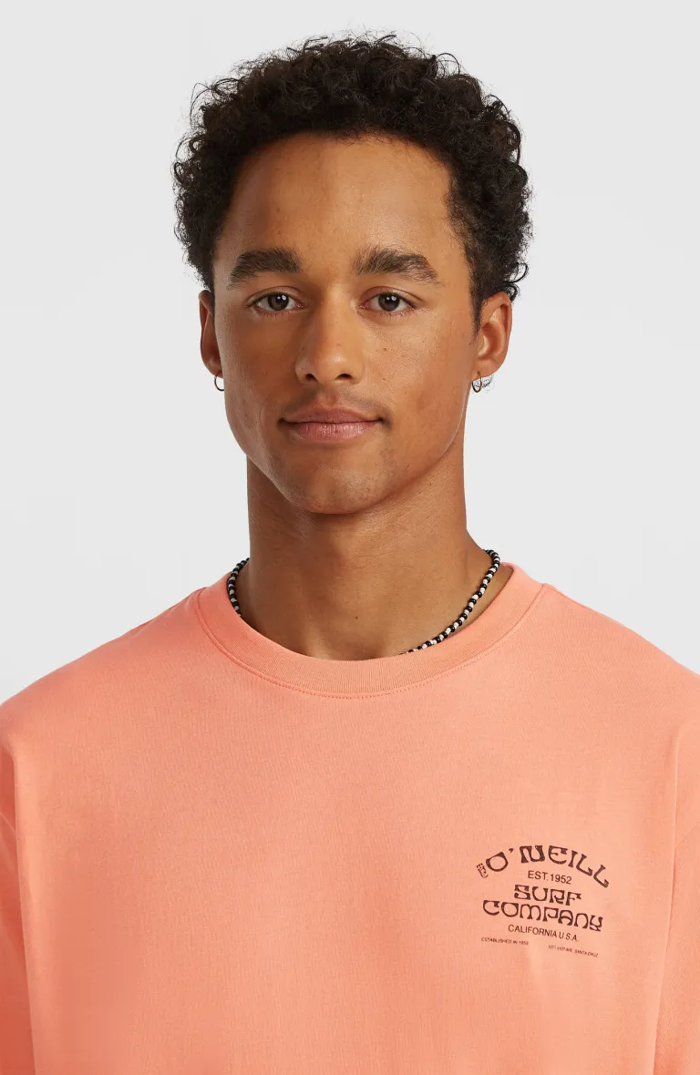 Pánske tričko Melange Print