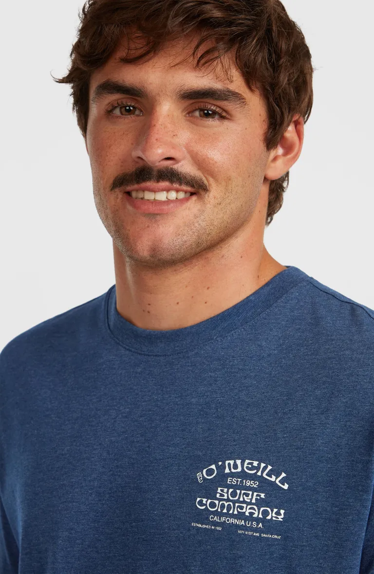 Pánske tričko Melange Print