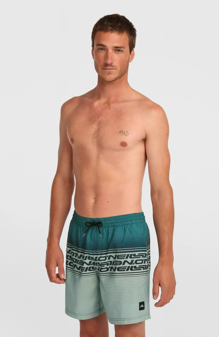 Pánske plavky Stripe 16