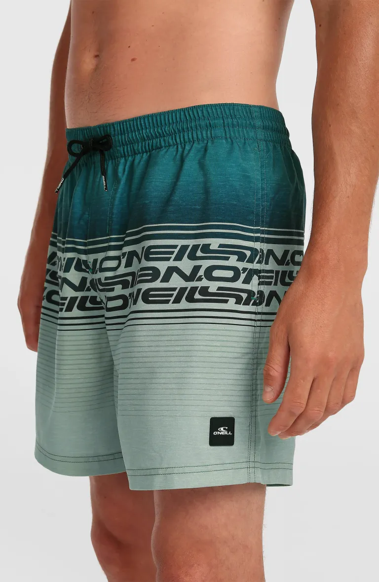 Pánske plavky Stripe 16