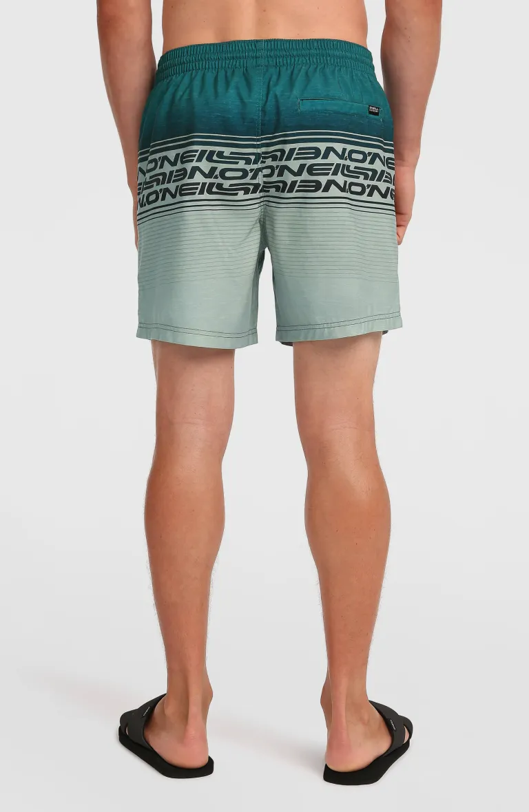 Pánske plavky Stripe 16