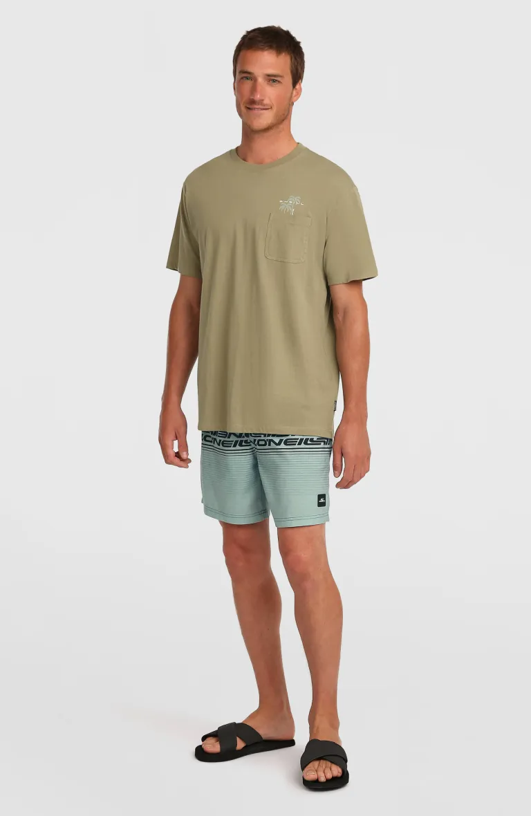 Pánske plavky Stripe 16