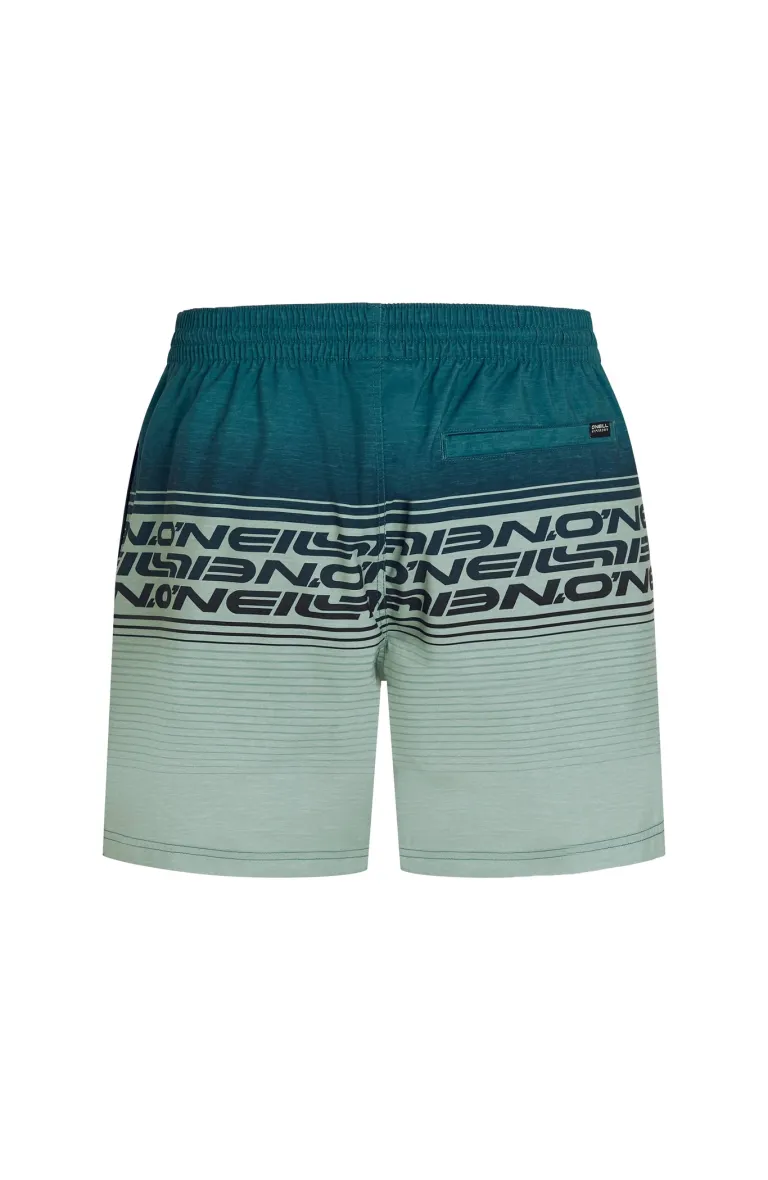 Pánske plavky Stripe 16