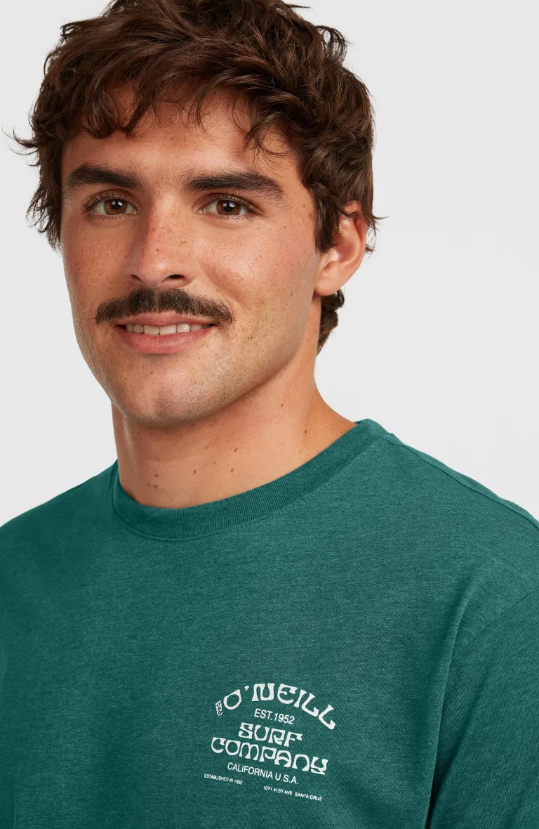 Pánske tričko Melange Print