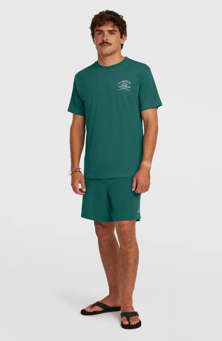 Pánske tričko Melange Print