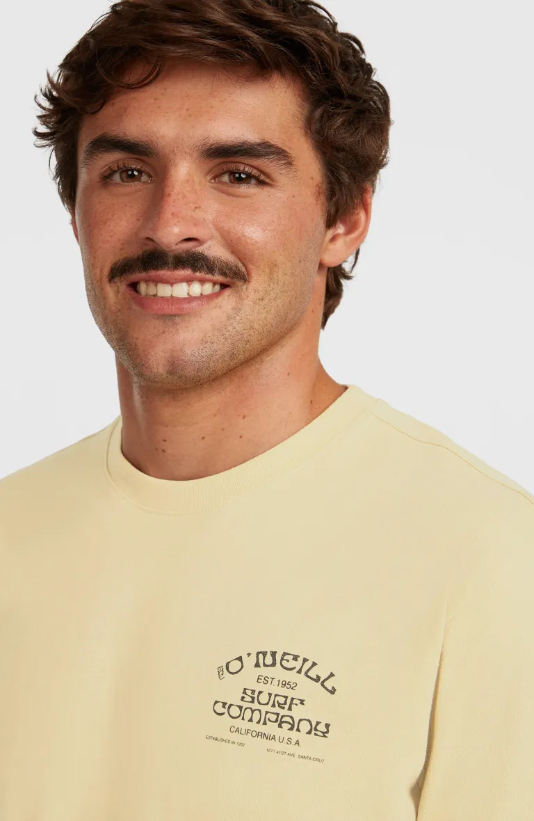 Pánske tričko Melange Print