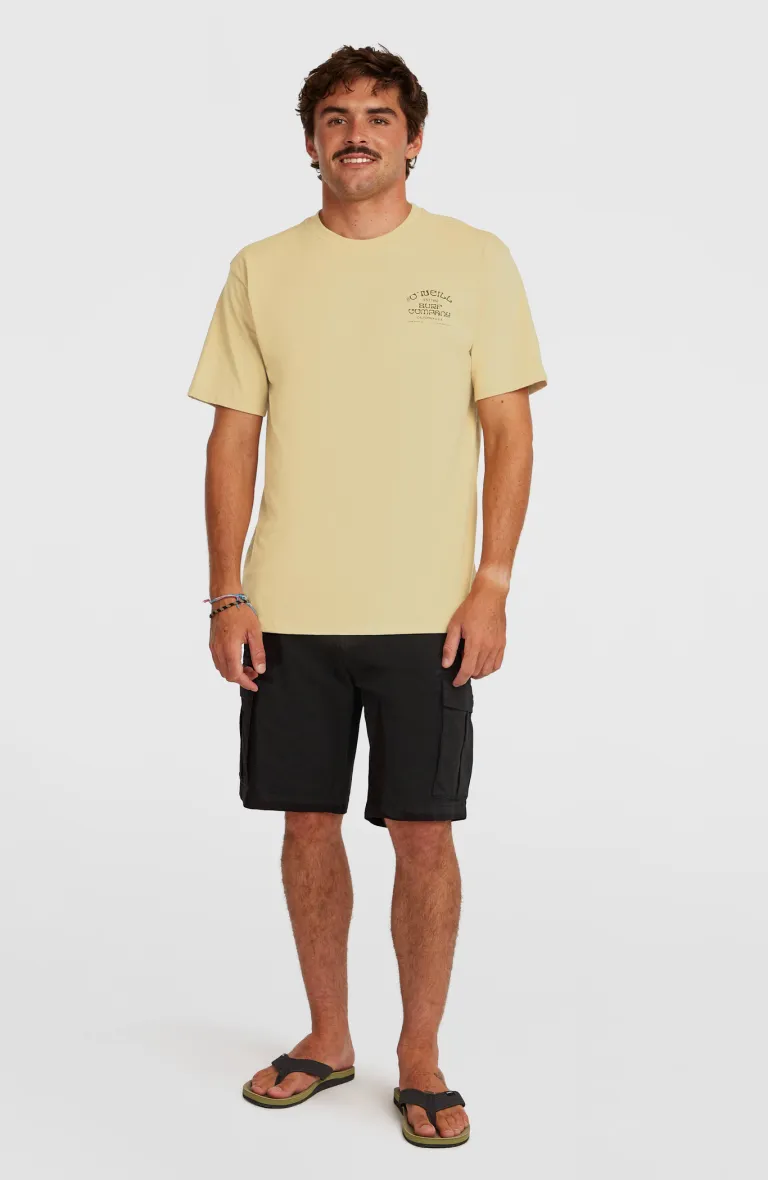 Pánske tričko Melange Print